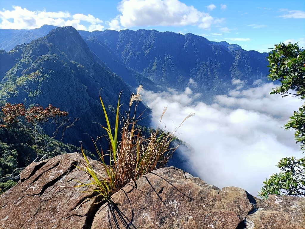 IMG20201205093257.jpg - 鹿谷  溪頭  南鳳凰山