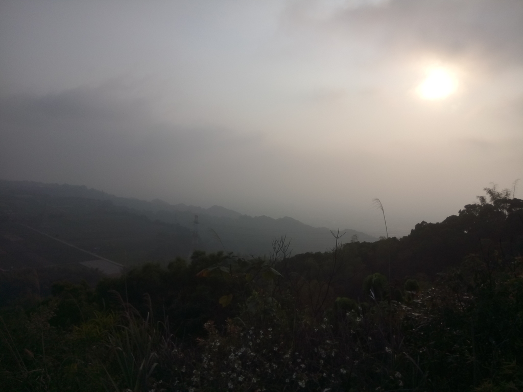 DSC_7485.JPG - 小百岳  橫山觀日步道