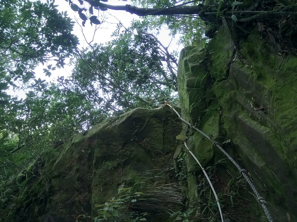 DSC_2554.JPG - 國姓  大橫屏山