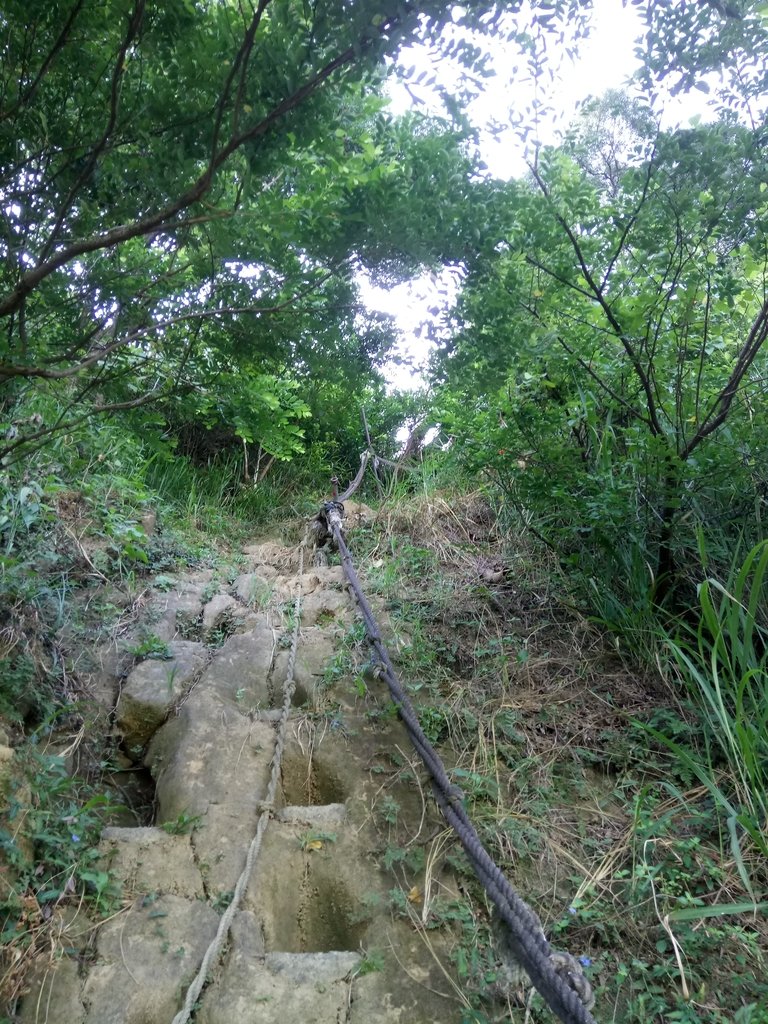 DSC_2078.JPG - 大社  觀音山步道