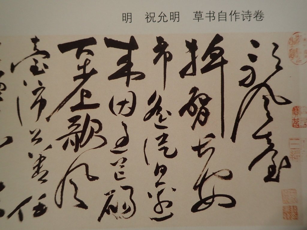 P5066761.JPG - 祝允明  草書  自作詩卷