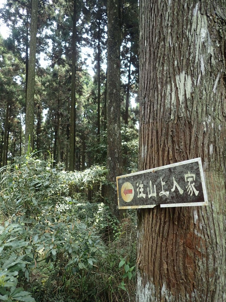 P4036925.JPG - 五峰  鵝公髻山登山步道  (02)