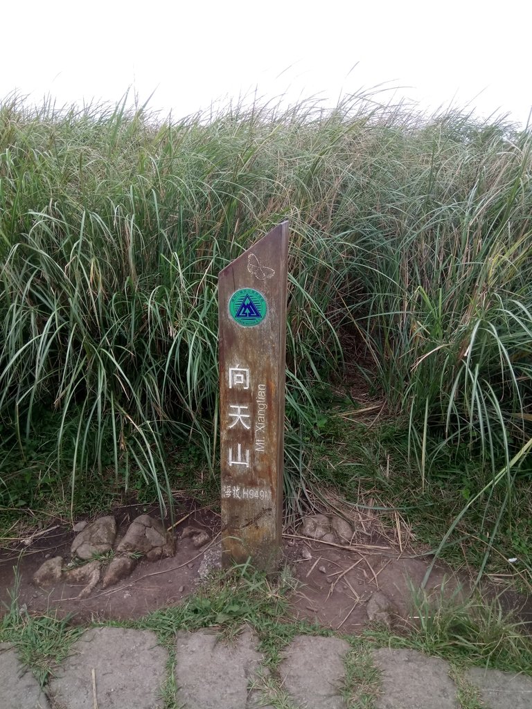 DSC_6919.JPG - 北投  面天山  向天湖步道