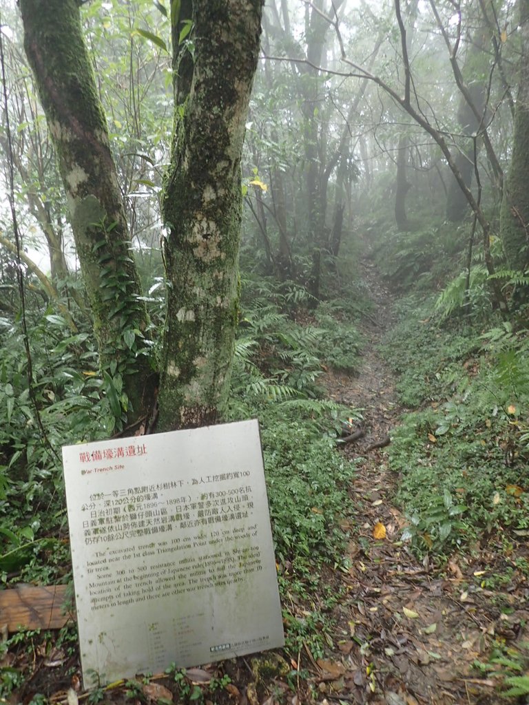 P1132885.JPG - 新店  獅子頭山隘勇線  01