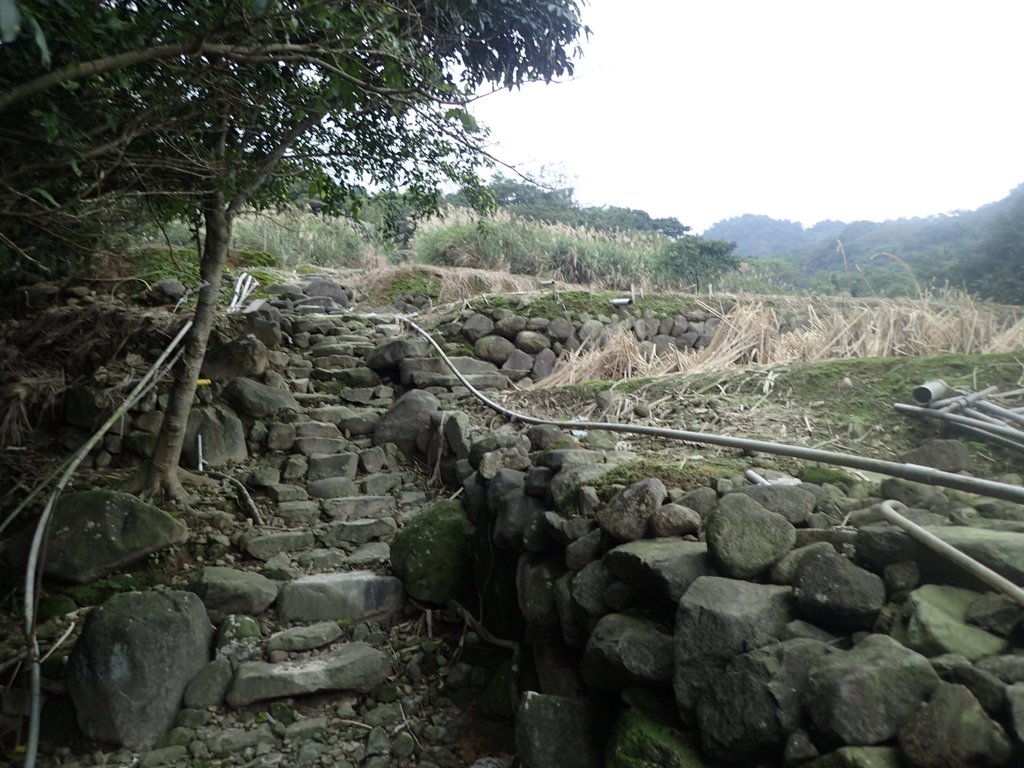 P1263953.JPG - 金山  大路崁古道