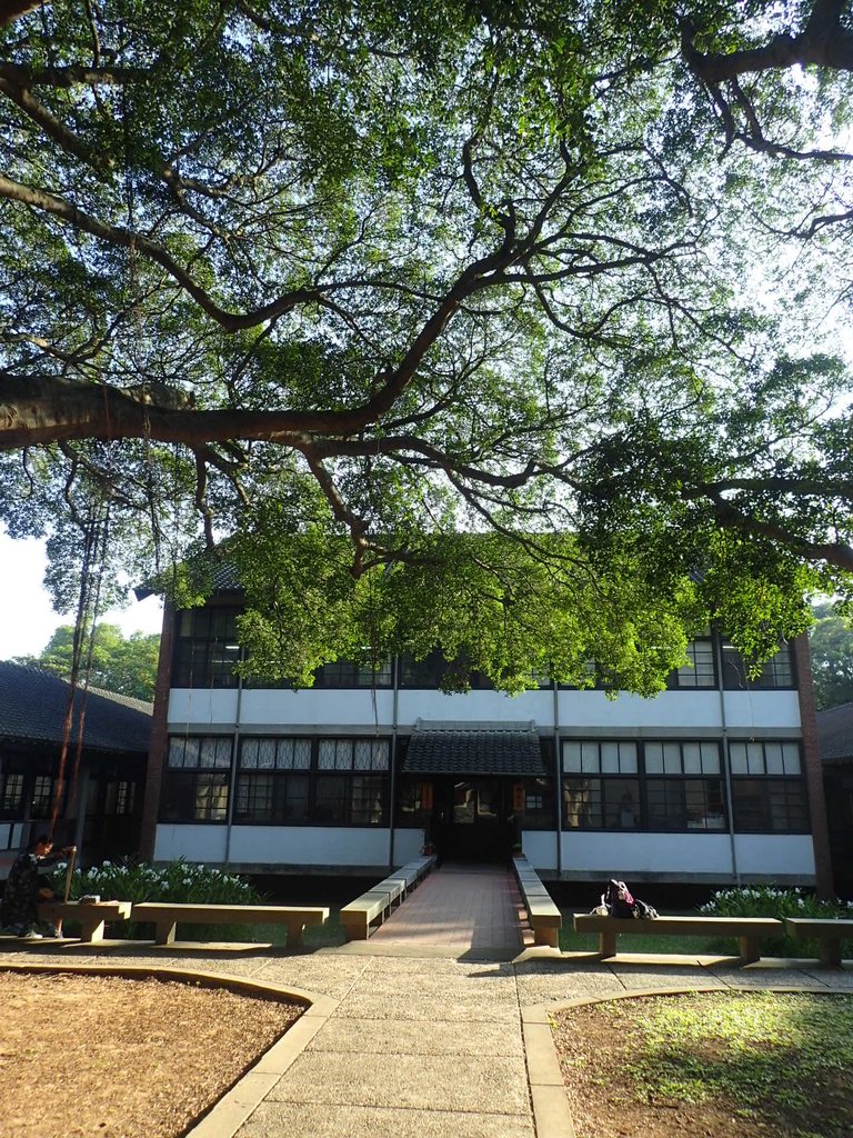 PA246576.JPG - 台中  東海大學校園巡禮