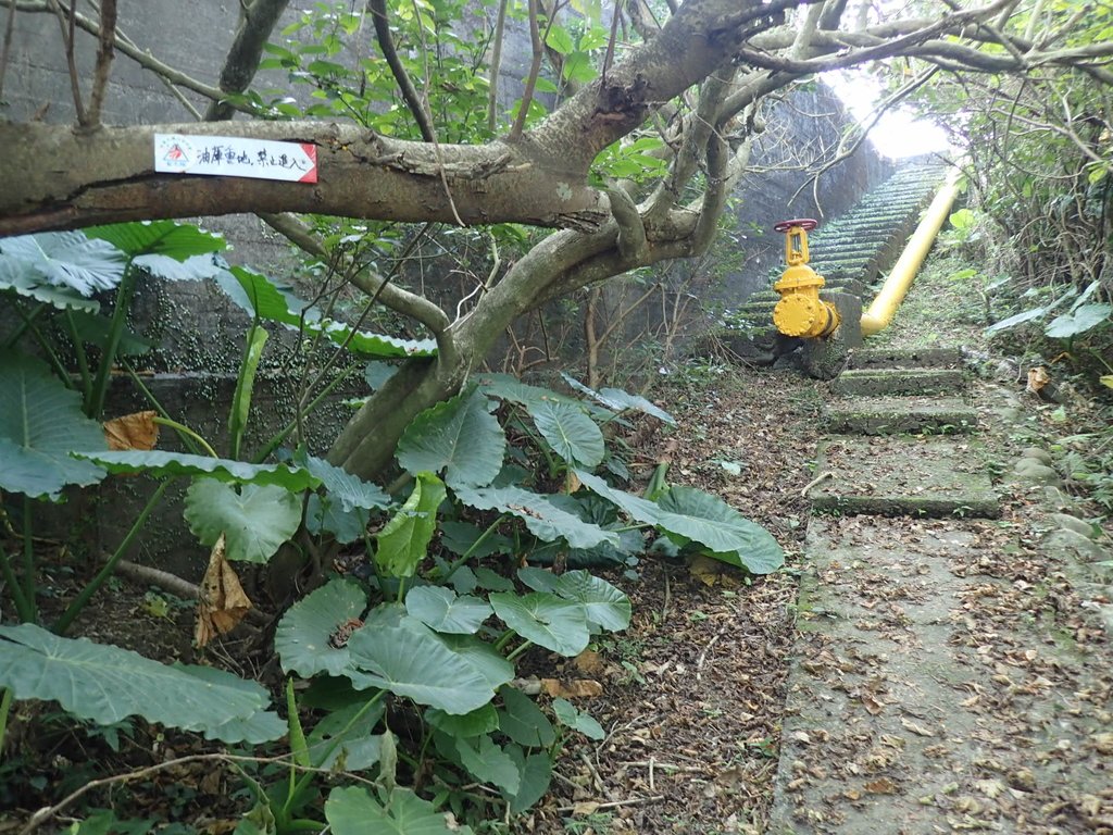 PB179528.JPG - 基隆  球子山(火號山)步道