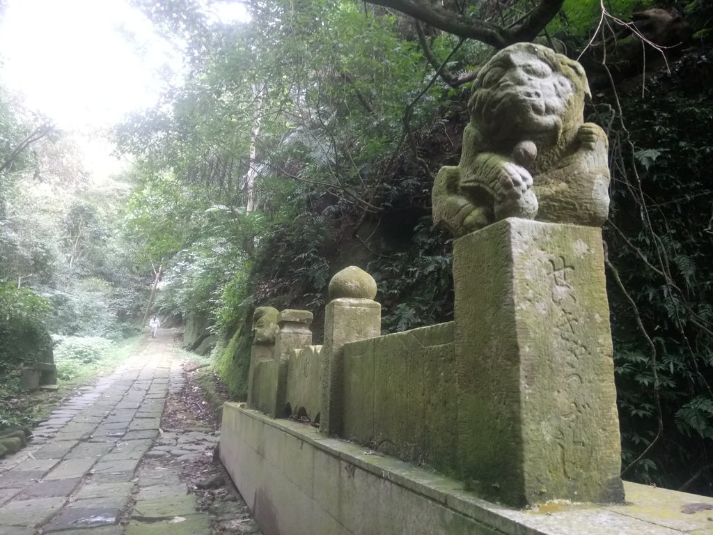 DSC_2787.JPG - 獅頭山  獅山古道  (02)