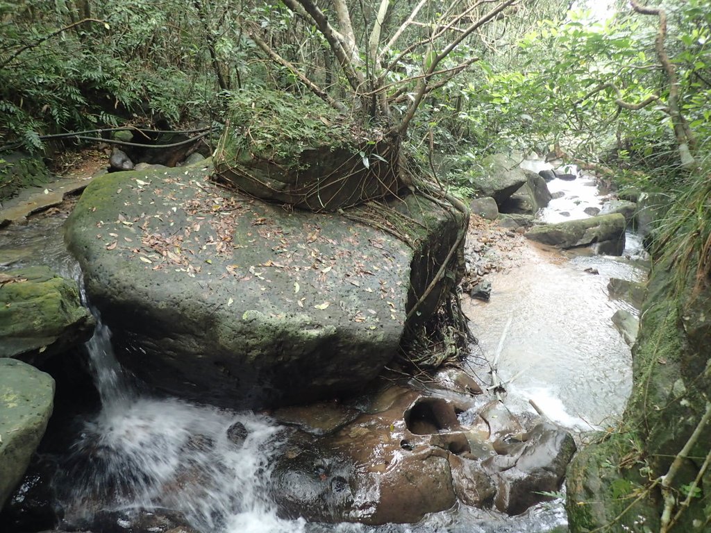 P3308253.JPG - 萬里  大路嶺古道行