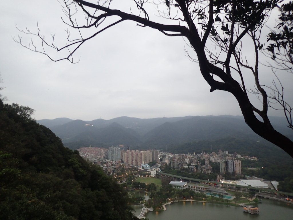 P3116946.JPG - 內湖  白鷺鷥山親山步道