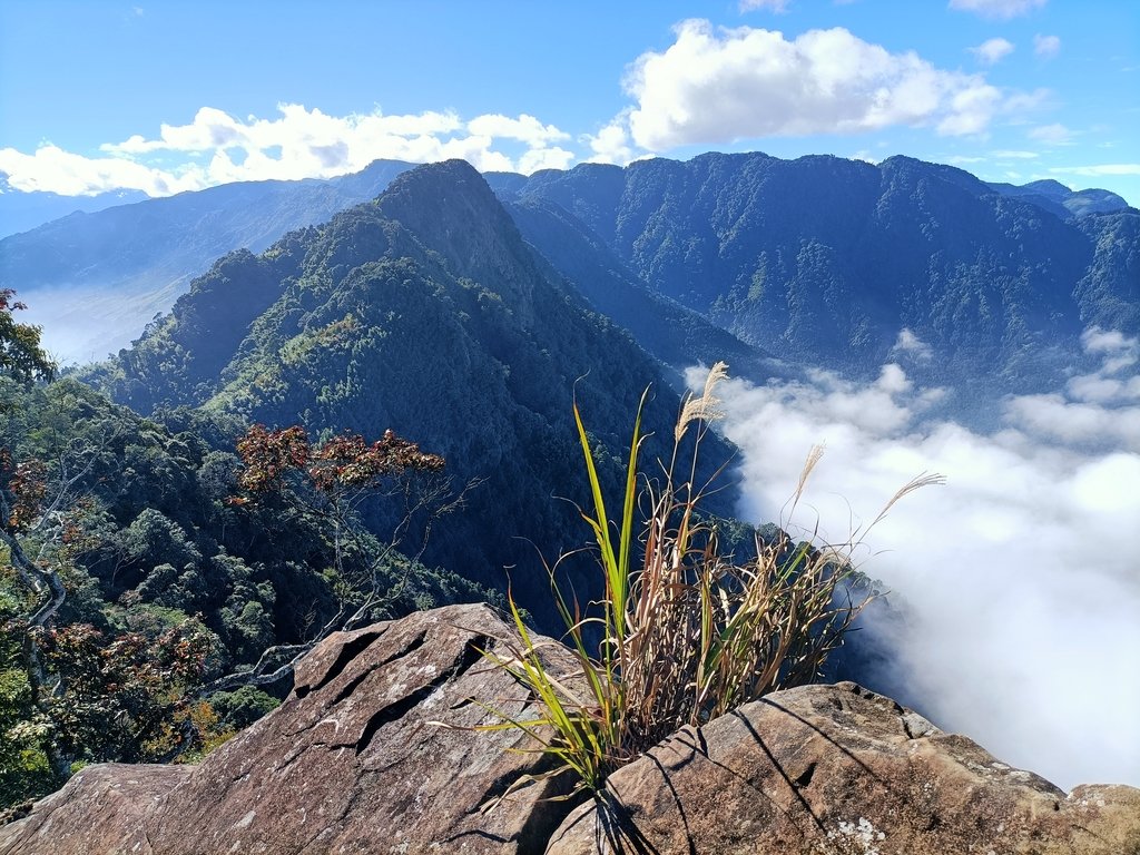 IMG20201205093259.jpg - 鹿谷  溪頭  南鳳凰山