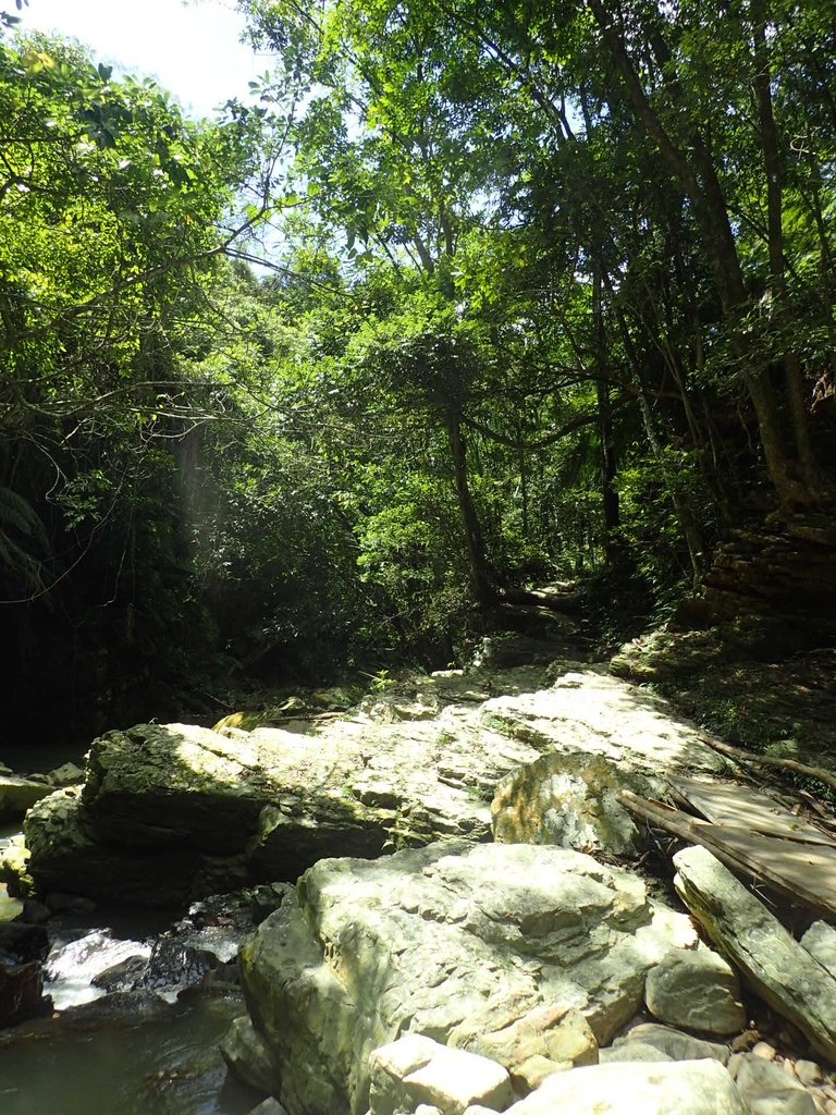 P6284932.JPG - 魚池  澀水森林步道  水上瀑布