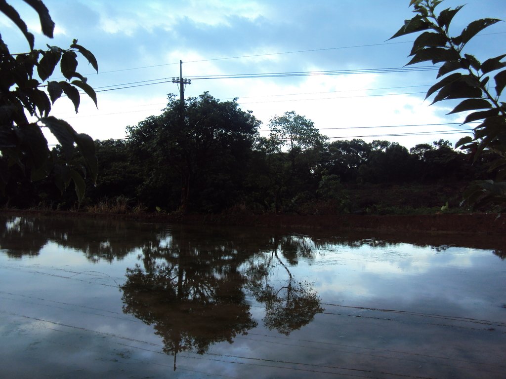 DSC09122.JPG - 石門  水塘映像