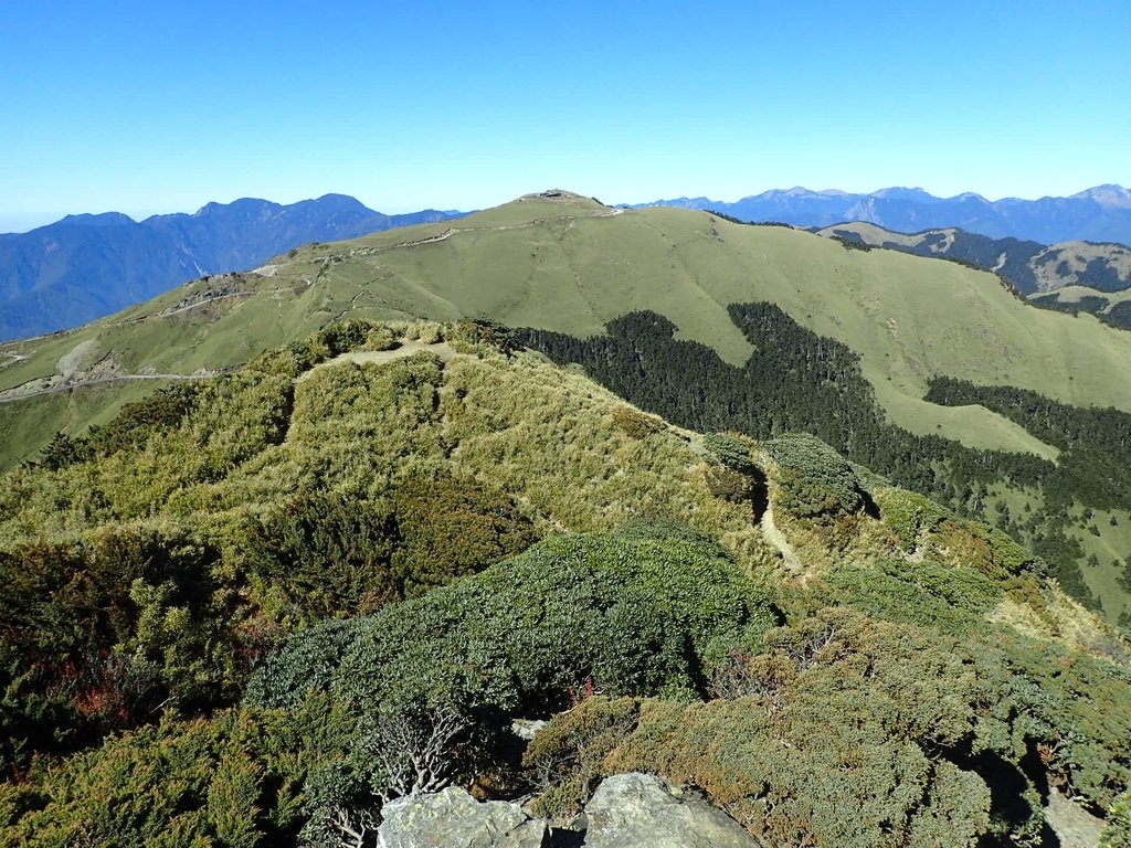 PC132150.JPG - 合歡山  東峰