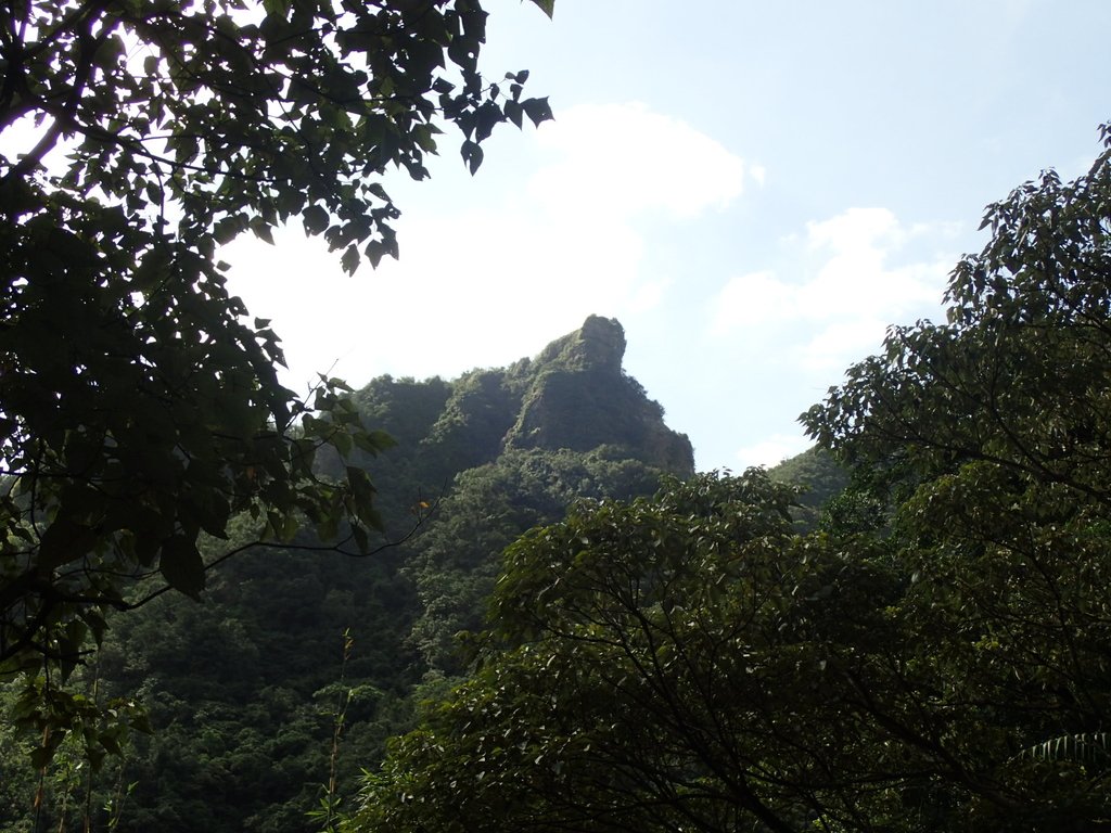 PA285387.JPG - 侯硐  獅子嘴奇岩