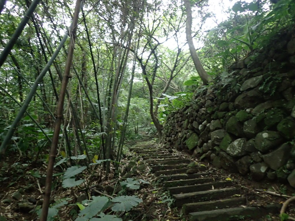 P1263961.JPG - 金山  大路崁古道