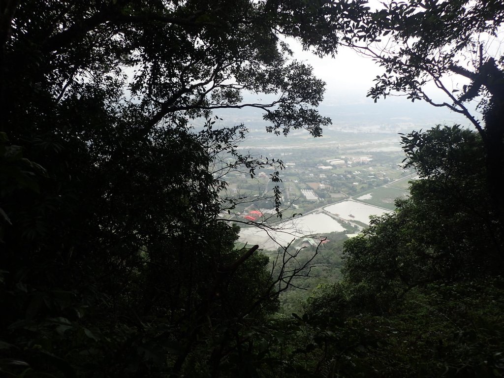 P2107499.JPG - 大溪  溪洲山登山步道