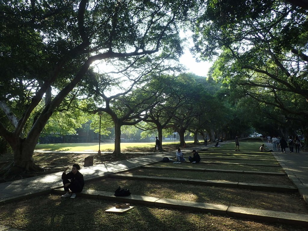 PA246577.JPG - 台中  東海大學校園巡禮