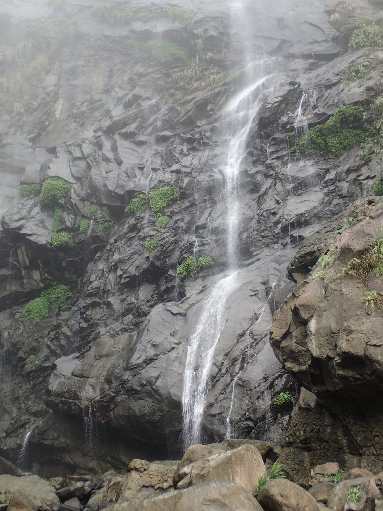 PA231583.JPG - 草嶺  蓬萊瀑布步道