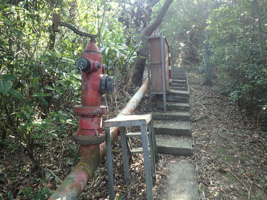 PB179534.JPG - 基隆  球子山(火號山)步道