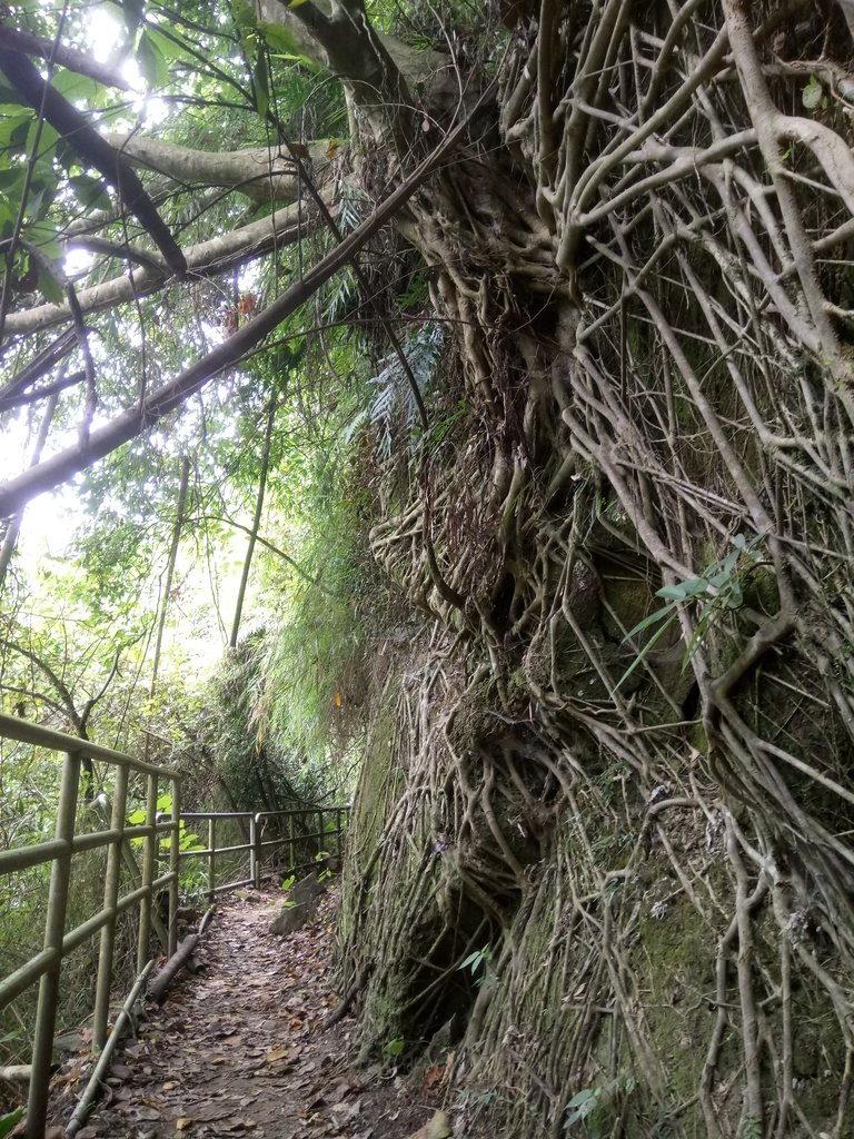 DSC_0577.JPG - 鹿谷  長源圳古道