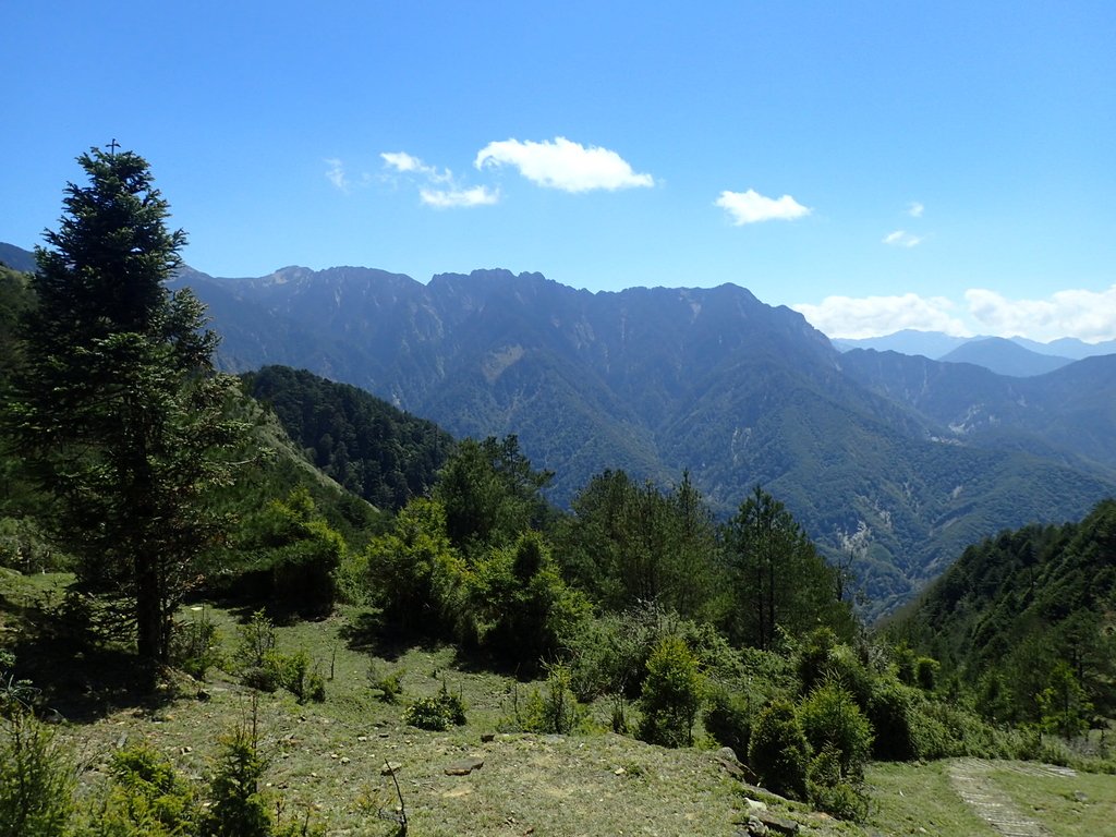 P3268155.JPG - 鹿林山  麟趾山步道  (02)