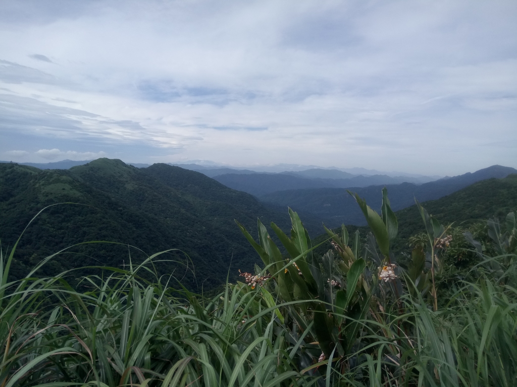 DSC_3391.JPG - 瑞芳  小金瓜山露頭