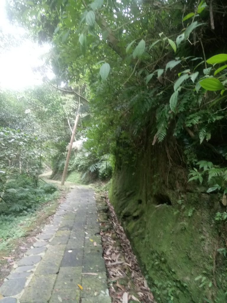 DSC_2790.JPG - 獅頭山  獅山古道  (02)