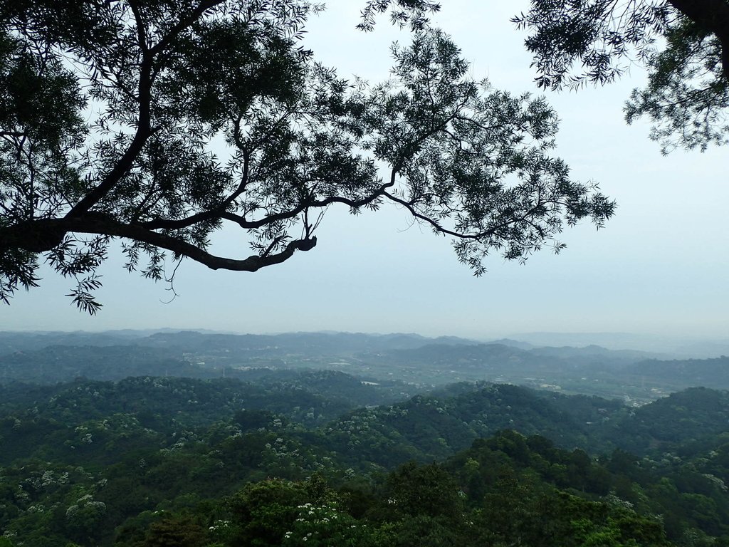 P4191898.JPG - 南庄  細湖頂  山中夜色