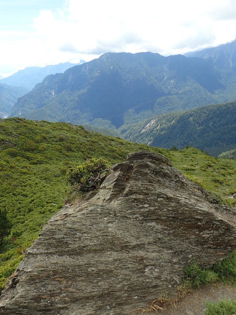 P7246041.JPG - 合歡山  北峰之美  (下)