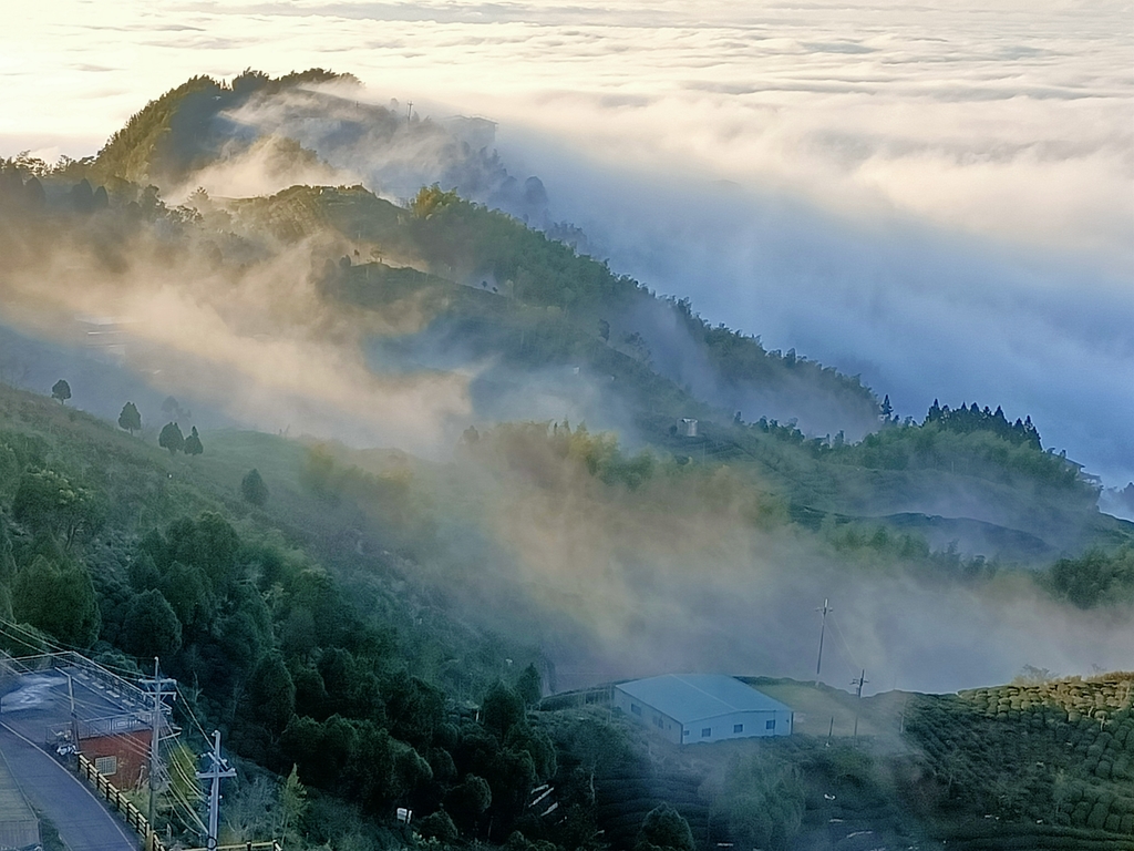 IMG20210107164505.jpg - 鹿谷  大崙山  觀霧亭之  暮光