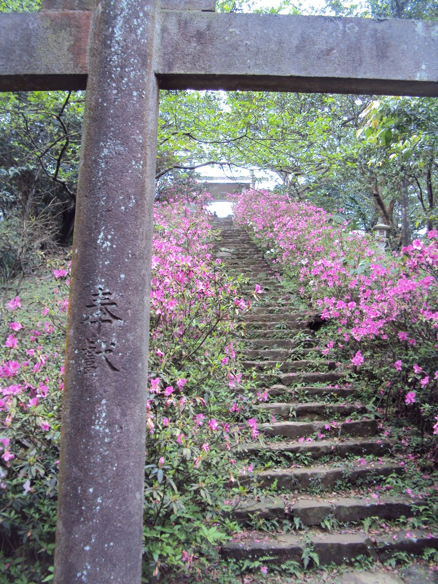 DSC07054.JPG - 再訪  侯硐神社