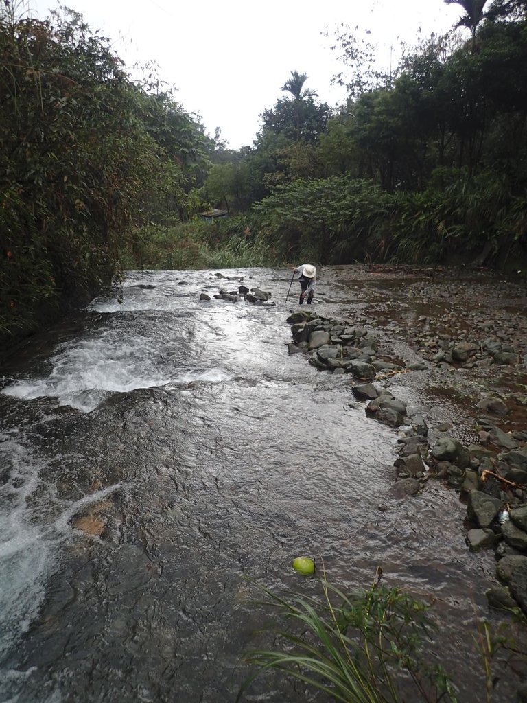 PC266063.JPG - 雙溪  燦光寮古道行