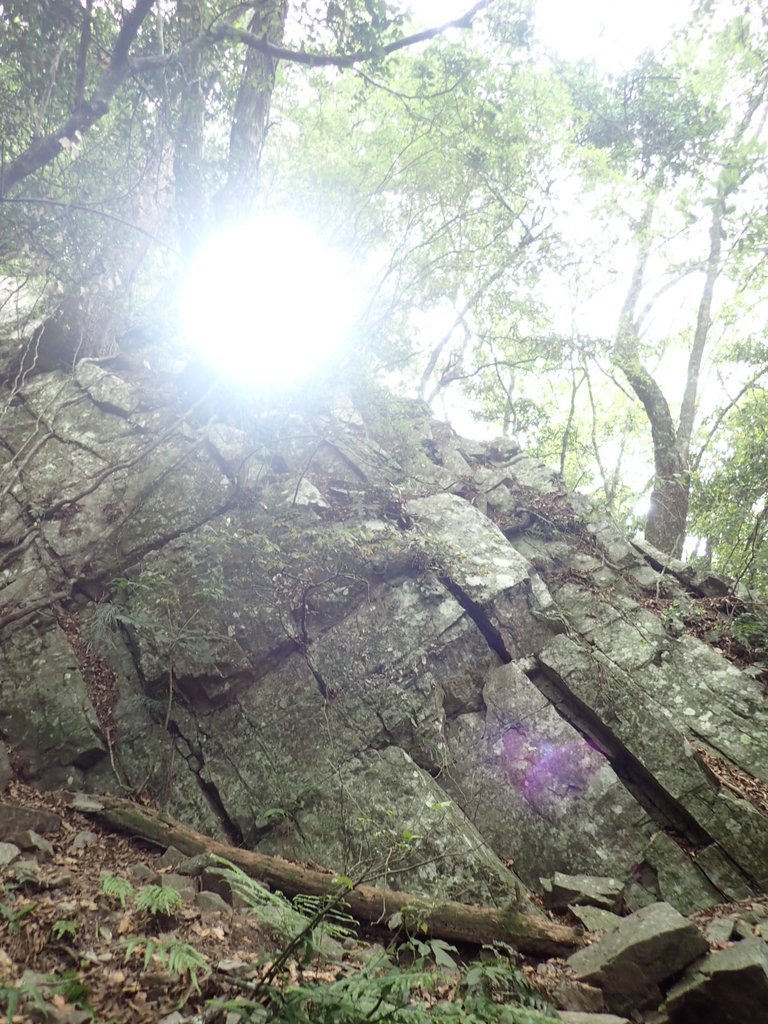 P5012285.JPG - 谷關七雄之  波津加山