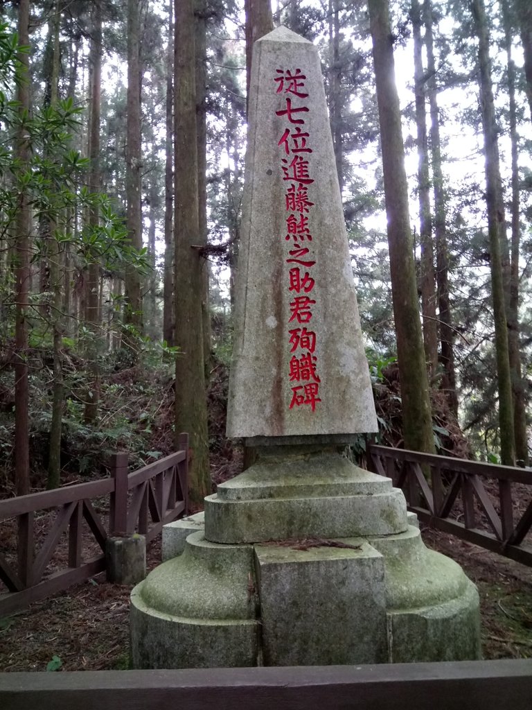 DSC_1550.JPG - 阿里山  二萬坪步道