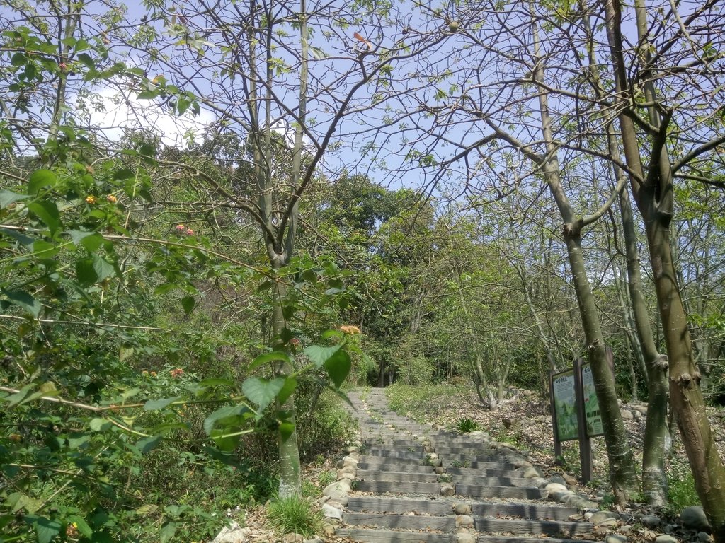 DSC_7288.JPG - 草屯平林  九九峰森林步道