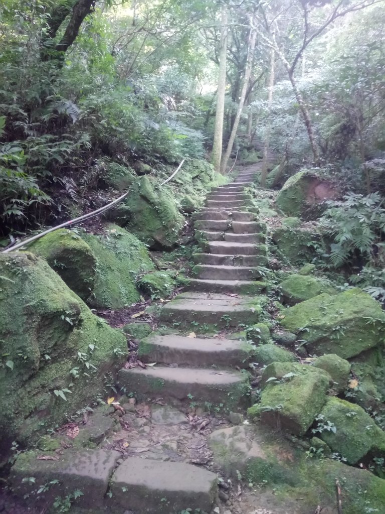 DSC_2165.JPG - 再訪---  平溪  孝子山登山步道