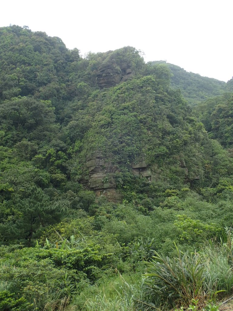 P3308261.JPG - 萬里  大路嶺古道行