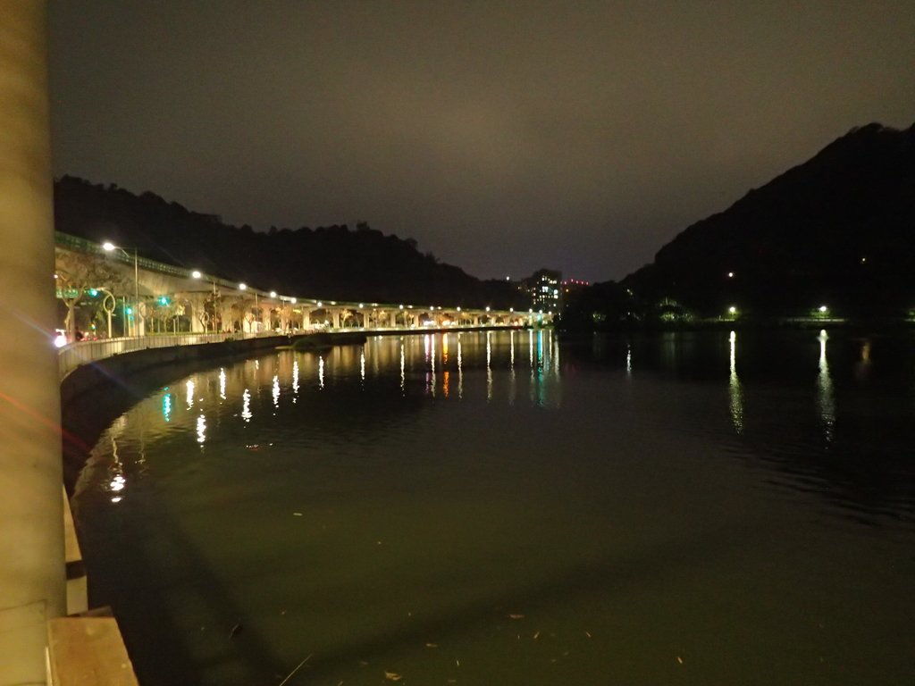 P3117017.JPG - 內湖  大湖公園之夜色