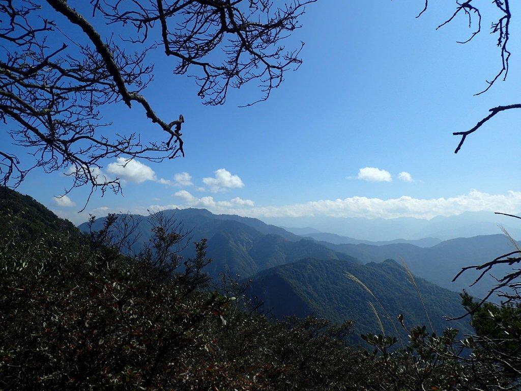 P2034804.JPG - 南庄  加里山