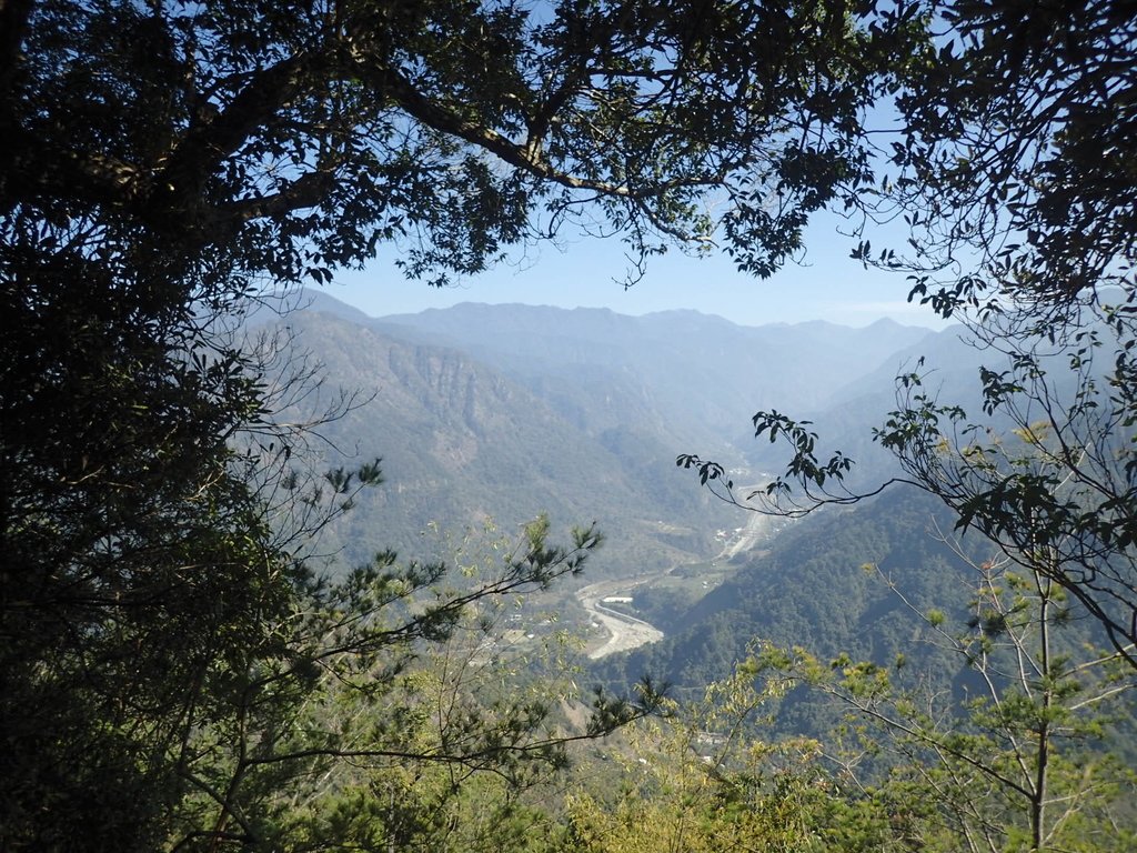 P2216677.JPG - 谷關  阿冷山步道