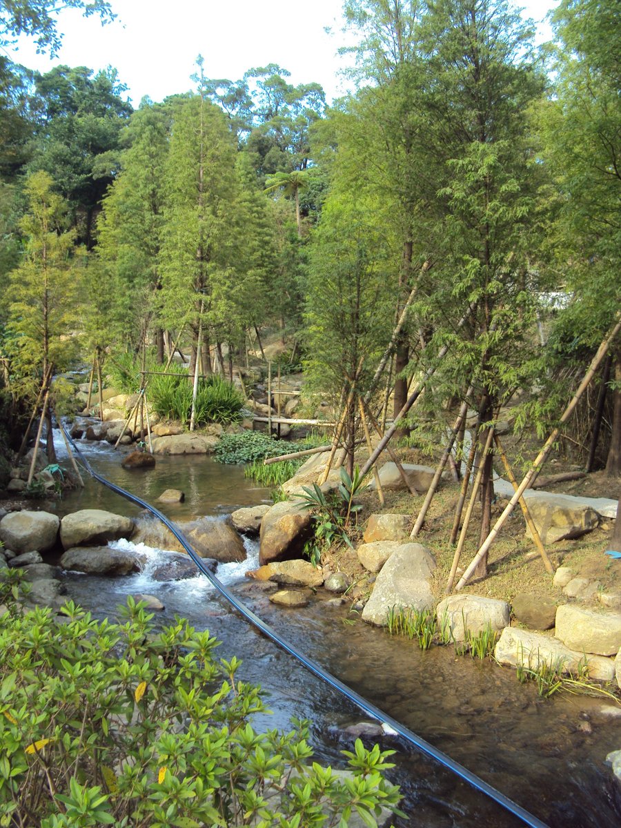 DSC09028.JPG - 金山  兩湖  萬順農場