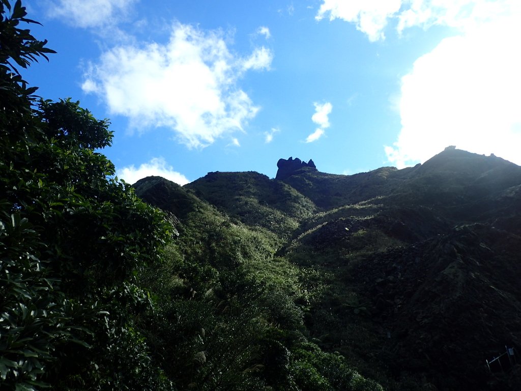 P1102360.JPG - 半坪山  無耳茶壺山