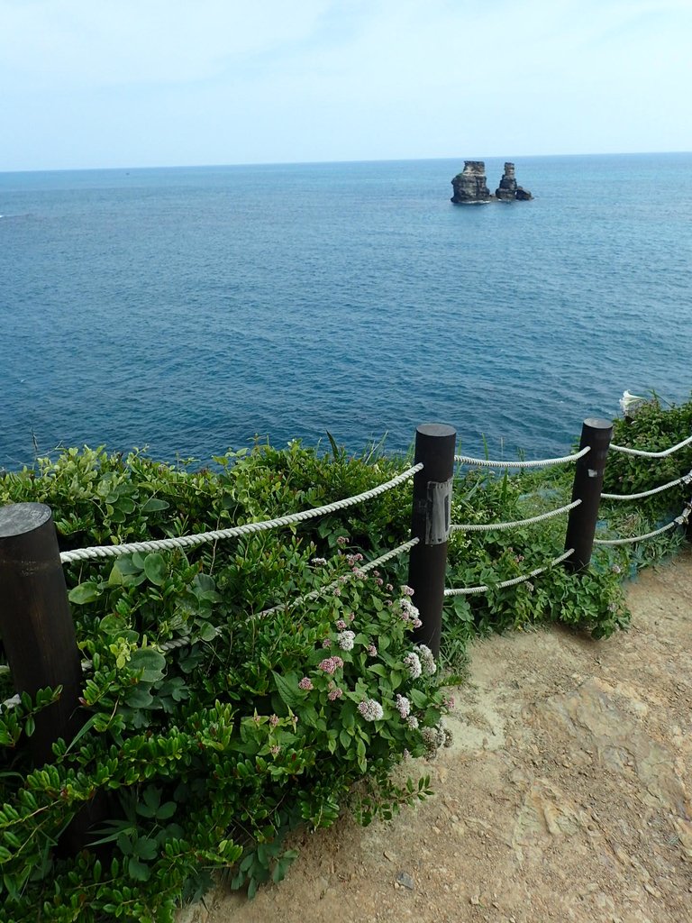 P5056573.JPG - 金山  燭臺雙ˊ峙 神秘海岸