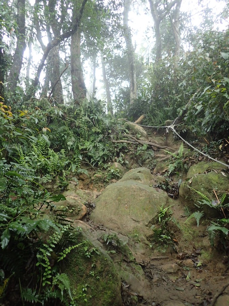 P2107515.JPG - 大溪  溪洲山登山步道