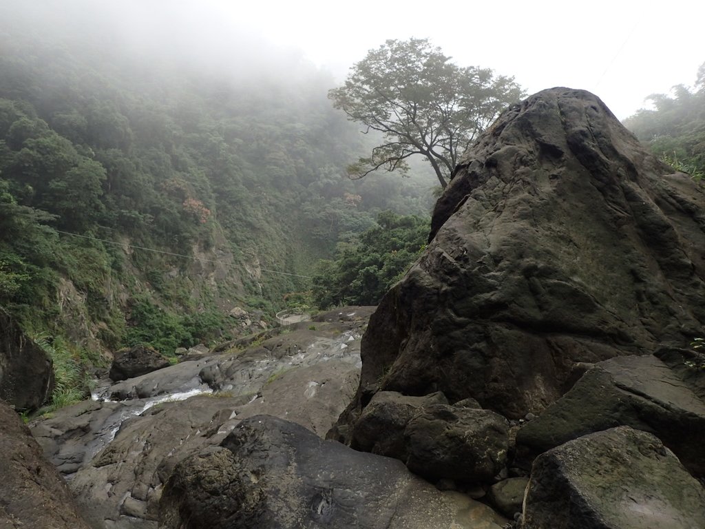 PA231586.JPG - 草嶺  蓬萊瀑布步道