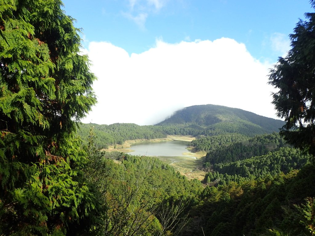 PB265499.JPG - 太平山  翠峰湖環山步道  02