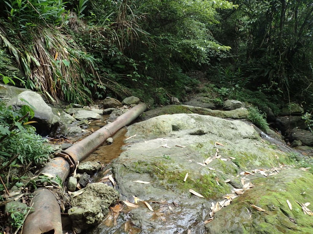 PA171294.JPG - 鹿谷  長源圳古道