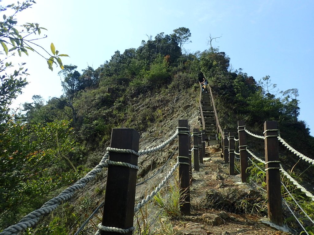 P3217626.JPG - 谷關七雄  白毛山  02