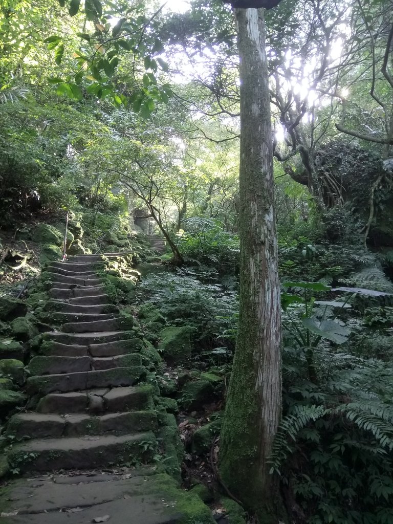 DSC_2166.JPG - 再訪---  平溪  孝子山登山步道